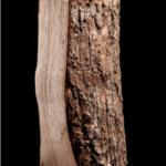 Demi palette – Frêne séché au four – 25cm – Image 3