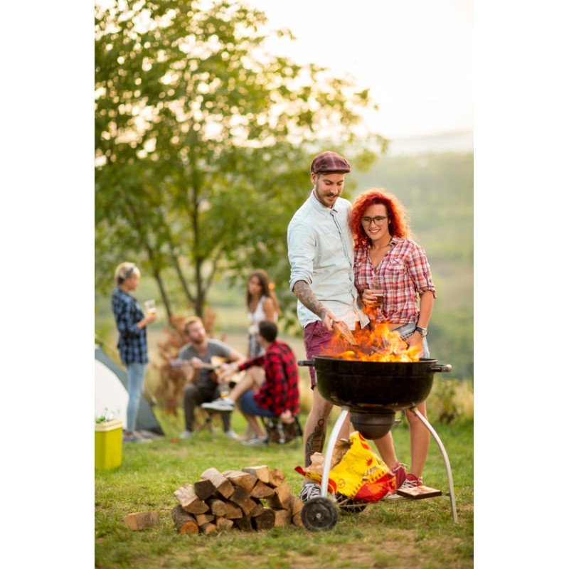 bois-special-barbecue-palette-1st.jpg Palette de 1st de bois de chauffage 33cm spécial barbecue - sec séchoirs - prêt à l'emploi - mélange feuillus – Image 1